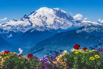 Foto op Aluminium Colorful Flowers Mount Rainier Crystal Mountain Lookout Pierce County Washington © Bill Perry