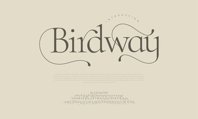 Birdway premium luxury elegant alphabet letters and numbers. Elegant wedding typography classic serif font decorative vintage retro. Creative vector illustration