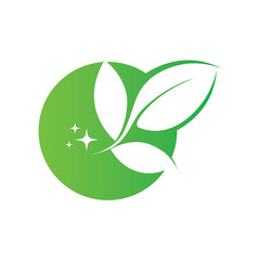 Fresh leaf template vector