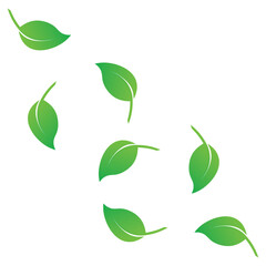 Fresh leaf template vector