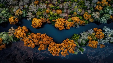 aerial view background river lake nature