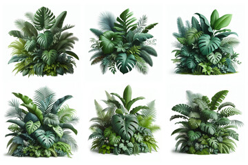 Green leaves of tropical plants bush floral arrangement indoors garden nature backdrop isolated on white background. Nature backdrop.
