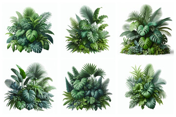 Green leaves of tropical plants bush floral arrangement indoors garden nature backdrop isolated on white background. Nature backdrop.