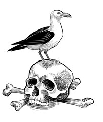 Seagull sitting on human skull. Hand-drawn retro styled black and white illustration