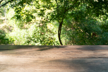 Wood table with blurred jungle background
