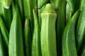 Fresh green okra pattern texture background, Organic vegetables