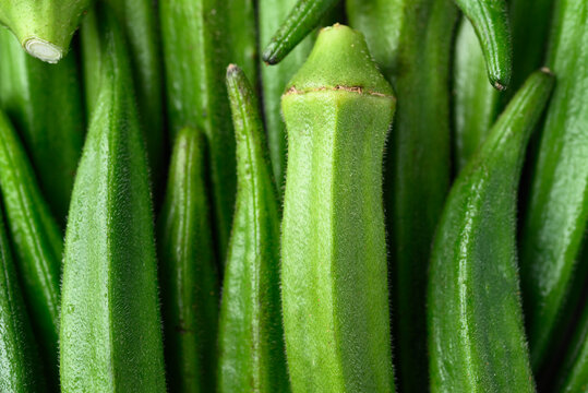 Fresh green okra pattern texture background, Organic vegetables