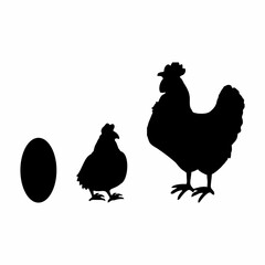 silhouette of chicken