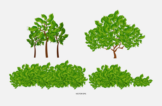 vector trees, green plants, green bushes, flat trees set. Flat forest tree nature plant isolated eco foliage