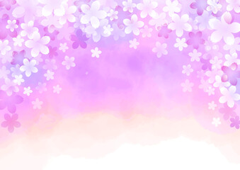 春　桜　パープル　イメージ　背景