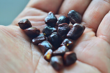 Handful of Tamarind seeds.