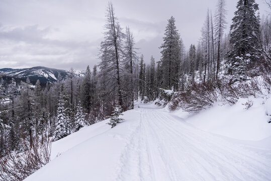 Backcountry Snowmobile Trail
