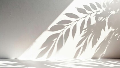 ボタニカル　植物　葉　影　シルエット　イメージ　フレーム　背景　AI生成画像　イラスト素材