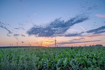 This image encapsulates the serene beauty of a sunset over a lush farmland landscape. The sky,...