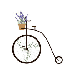 Vintage Penny Farthing bicycle with lavender flowers as decor. Thank you card. Vector illustration in flat style