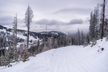 Obraz premium Snowmobile Road In Winter