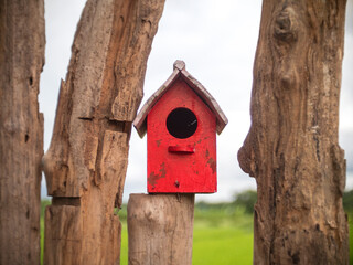 Old bird house or nest box hangs on the wooden fence.
