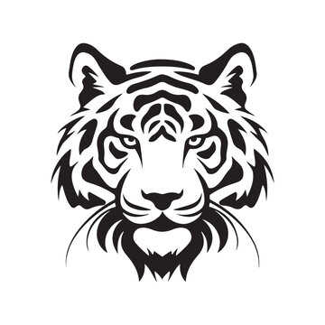 Tiger Head Vector Images