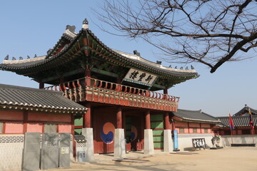 Fototapeta premium the sky above the Hwaseong Haenggung Palace and the trees