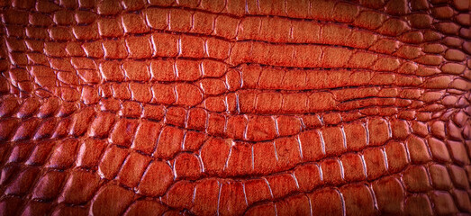 Crocodile leather for manufacturing of luxury shoes, clothes, bags and other fashion accessorie