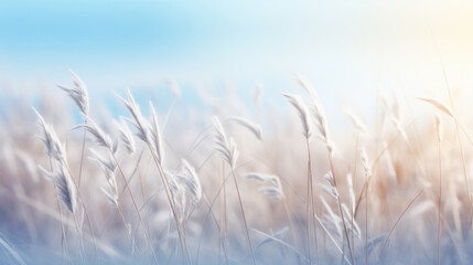 Close-up view of bunch of tall grass. Perfect for nature and outdoor-themed designs - obrazy, fototapety, plakaty