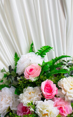 tone rose White and pink, the background is white curtains.