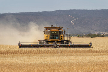 Wheat harvester at work near Augusta Highway, South Australia
- Remarkables mountain range (Lower Flinders Ranges) in the background