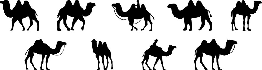 Collection of Camel icon. Camel Silhouette
