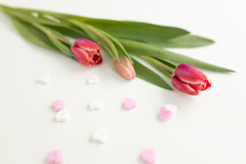 Background for Valentine's Day. Assorted pink, purple, white heart shaped candies with printed messages of love and fresh pink tulips on white background. Gift for Women's Day, March 8