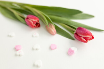 Fototapeta premium Background for Valentine's Day. Assorted pink, purple, white heart shaped candies with printed messages of love and fresh pink tulips on white background. Gift for Women's Day, March 8