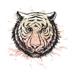Tiger head hand drawn grunge style illustration vector