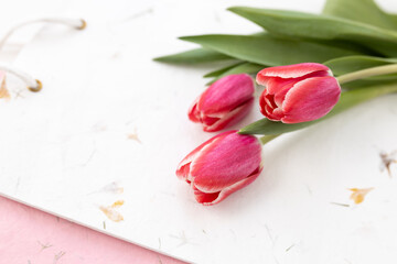 Background for Valentine's Day. Fresh pink tulips on a beige background close up. Gift for Women's Day, March 8