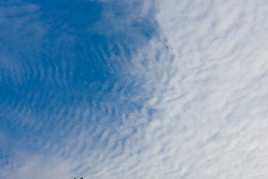 青空と波状雲