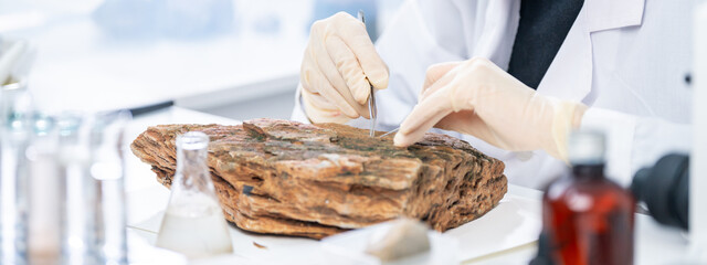 Expert female geologist or archaeologist working with rock, stone or fossil sample in paleontology, archaeological and geological or historic laboratory. Concept of ground research or soil experiment. © chokniti