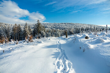 Fototapeta na wymiar Kleine Winterwanderung im runde um den verschneiten Inselsberg bei Brotterode - Thüringen - Deutschland