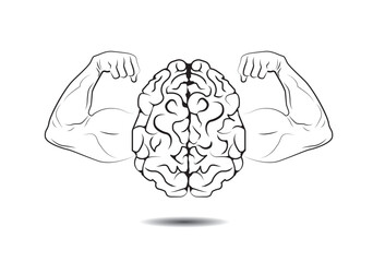 brain shows biceps, brain power, human organ. Concept training memory, intelligence, strong mind.