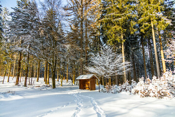 Kleine Winterwanderung im runde um den verschneiten Inselsberg bei Brotterode - Thüringen - Deutschland