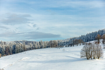 Kleine Winterwanderung im runde um den verschneiten Inselsberg bei Brotterode - Thüringen -...
