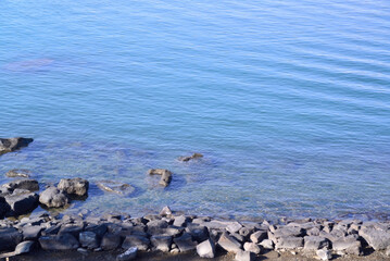 東京湾お台場海浜公園の波打ち際の岩礁模様