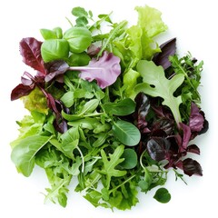 Mesclun mix, a blend of various baby salad leaves isolated on white background