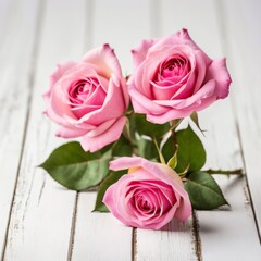 Flowers of pink roses on white wood background. Happy Valentine's Day with this romantic greeting card.