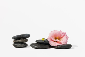 Fototapeta na wymiar Stacked black spa stones with flowers on white background