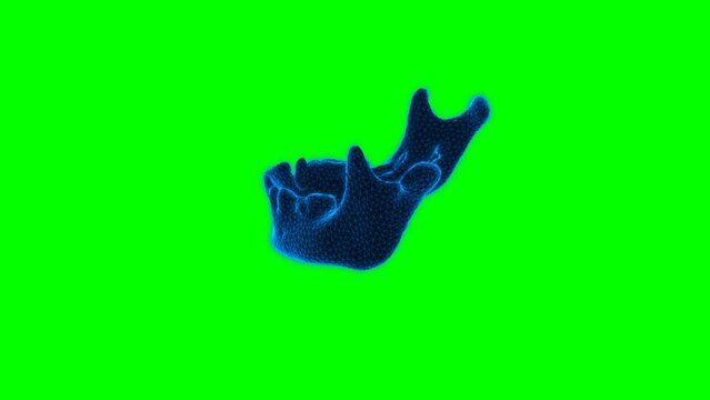 4k human jaw green screen technology video. human jaw technology video, human jaw 360 turn, human jaw wireframe video