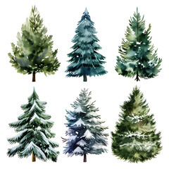 Obraz premium set of christmas tree isolated on white, watercolor style