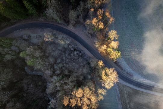 Vue aérienne d'une route traversant une forêt