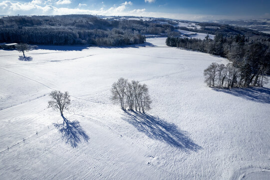Vue aérienne d'arbres dans un champ de neige