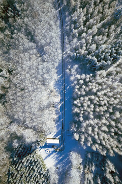Photo aérienne d'un chemin qui mène à un chalet dans une forêt enneigée