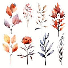 set of dry flowers, dried leaf and twig