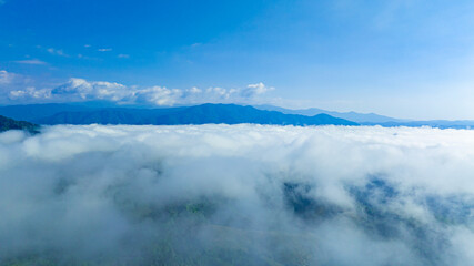 Aerial view of mountain mist clouds and mixed forest. Green deciduous tree with clouds Rich natural ecosystem, concept of nature view and environmental conservation.