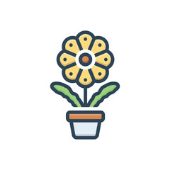 Color illustration icon for flower